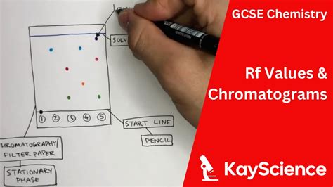 how to read an rf factor in chromatography|why is rf importnat chemistry.